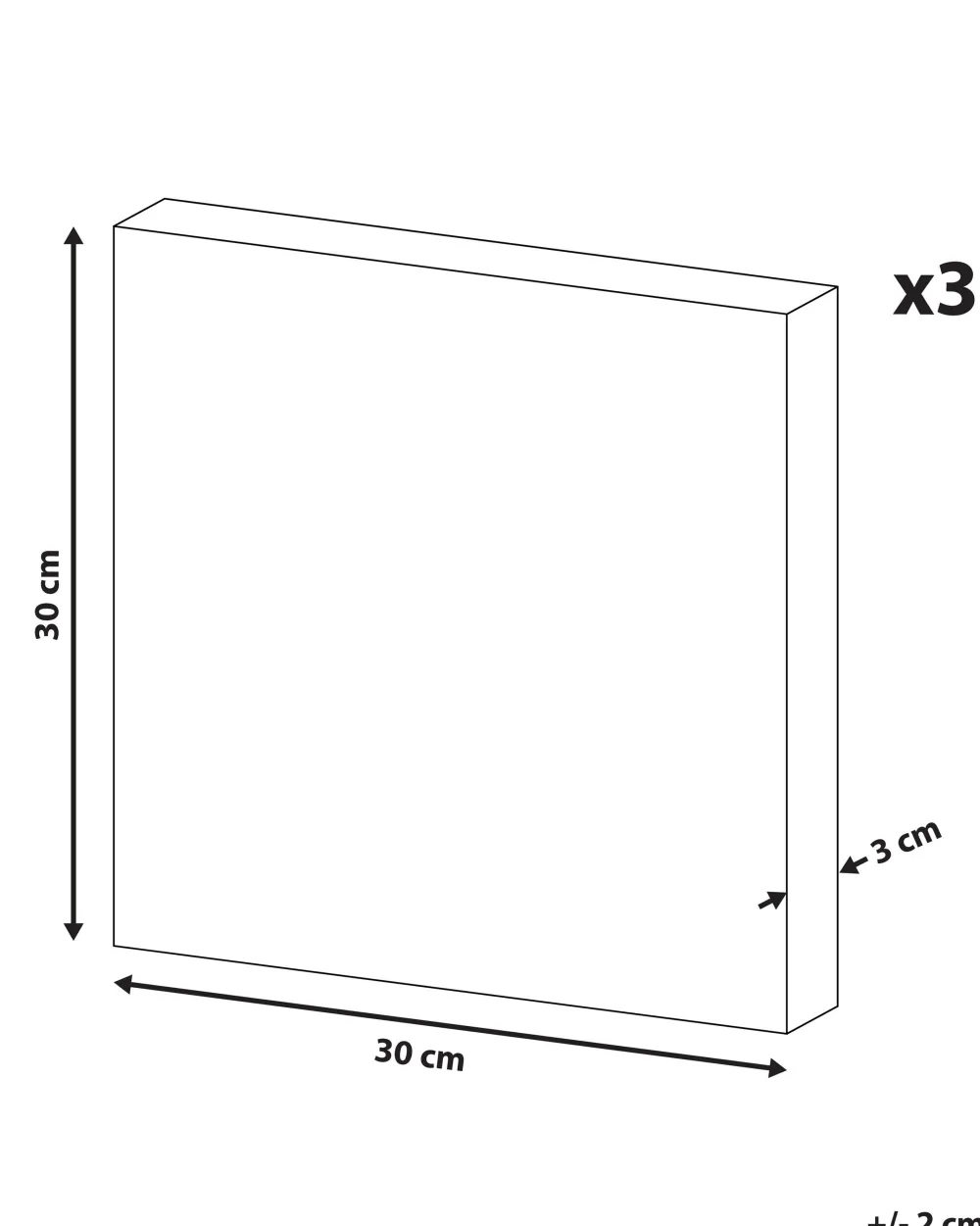 New Beliani Canvas-Taulu Vaaleanpunainen/Kulta 30 X 30 Cm 3 Kpl Apesika