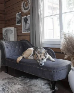 Best Sale Beliani Divaani Sametti Vasenk. Harmaa Nimes