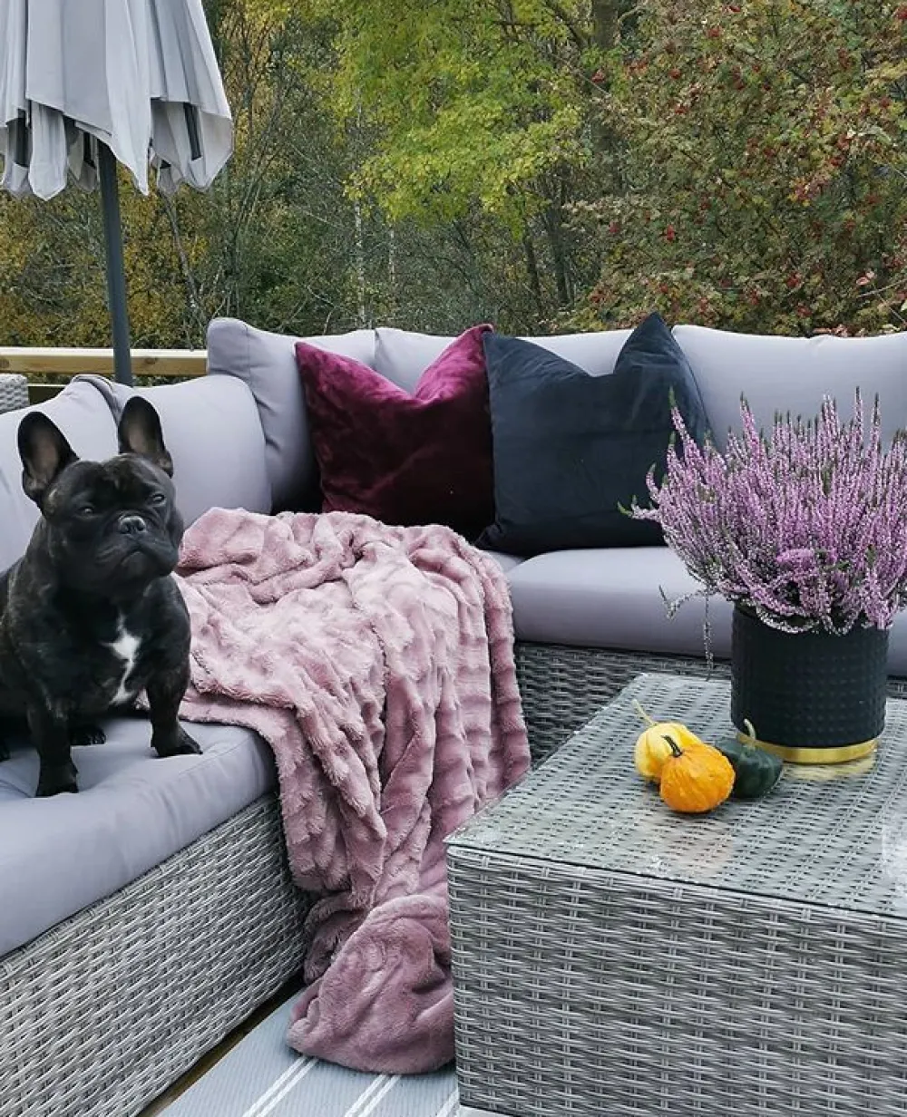 Cheap Beliani Harmaa 8-Istuttava Ulkosohvaryhma Pe-Rottingista Xxl