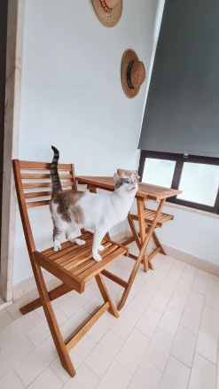 Ulkokalusteet<Beliani 2-Istuttava Bistrosetti Akaasia Vaalea Puu Fiji