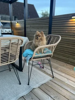 Cheap Beliani 2-Istuttava Bistrosetti Polyrottinki Luonnonvari Tropea Ii