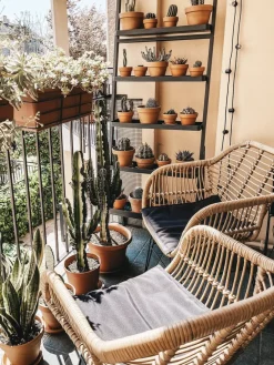 Cheap Beliani 2-Istuttava Bistrosetti Polyrottinki Luonnonvari Tropea Ii