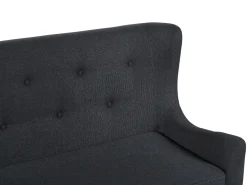 Sohvat<Beliani 2-Istuttava Sohva Kangas Musta Skibby