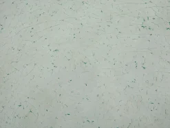 Ulkokalusteet<Beliani 6-Istuttava Ulkoruokailuryhma 3-Osainen Lasitaso Polyrottinkituolit Musta Grosseto