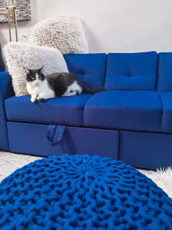 Best Beliani 3-Istuttava Vuodesohva Ja Rahi Kangas Laivastonsininen Falster