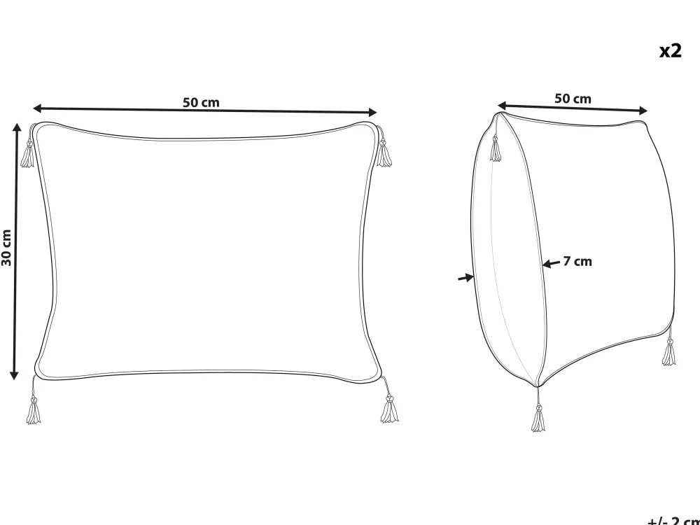 Tekstiilit<Beliani Koristetyyny 2 Kpl 30 X 50 Cm Mustavalkoinen Schefflera