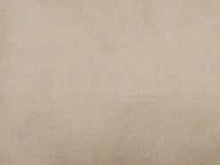 Tekstiilit<Beliani Koristetyyny 40 X 40 Cm Samettinen Beige Pothos