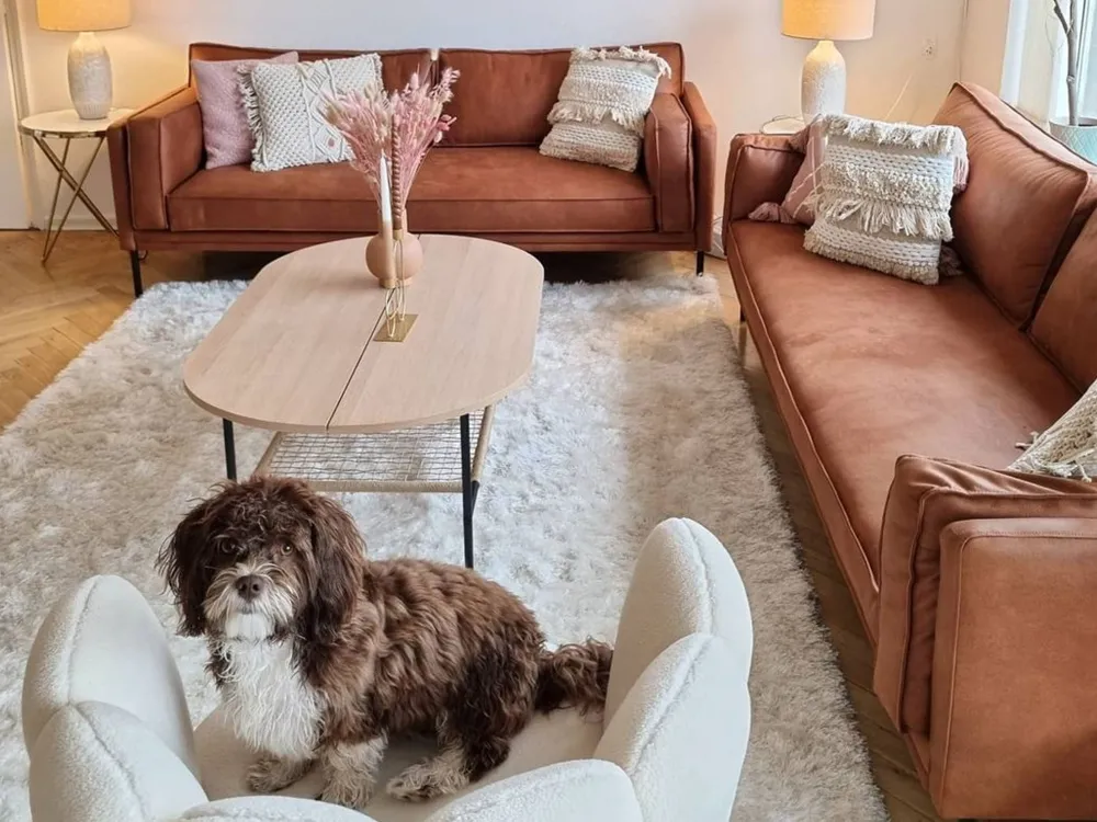 Tekstiilit<Beliani Koristetyyny Beige Kirjailtu 45 X 45 Cm 2 Kpl Villur