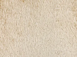 Fashion Beliani Koristetyyny Kangas Beige 45 X 45 Cm Pilea