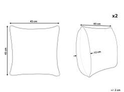 Tekstiilit<Beliani Koristetyyny Kangas Hopea 45 X 45 Cm 2 Kpl Aster