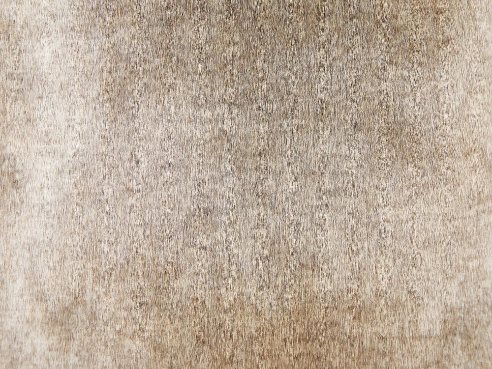 Sale Beliani Koristetyyny Keinoturkis Vaaleanruskea 45 X 45 Cm 2 Kpl Hordeum