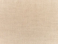 Tekstiilit<Beliani Koristetyyny 2Kpl 45 X 45 Cm Beige Guzmania