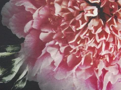 Tekstiilit<Beliani Koristetyyny 2Kpl Setti 45 X 45 Cm Monivarinen Hedera