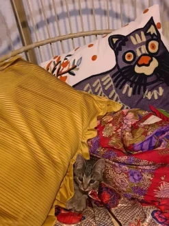 Tekstiilit<Beliani Koristetyyny Puuvilla Monivarinen Kirjailtu 50 X 50 Cm 2 Kpl Phusro