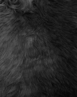 Matot<Beliani Lampaantalja Musta Uluru