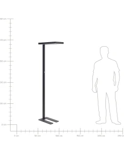 Valaisimet<Beliani Led-Lattiavalaisin Alumiini Musta Taurus