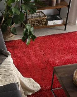 Matot<Beliani Matto Kangas Punainen 160 X 230 Cm Evren