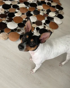 Matot<Beliani Matto Lehmannahka Ruskea 140 Cm Sorgun