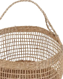 Cheap Beliani Meriruohokori Luonnonvari 3 Kpl Arapaima