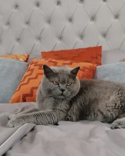 Sängyt<Beliani Parisanky Sametti Harmaa 180 X 200 Cm Lubbon