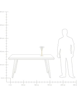 Valaisimet<Beliani Poytavalaisin Tammi Valkoinen Moppy