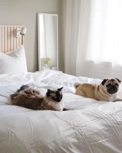 Tekstiilit<Beliani Pussilakanasetti Satiinipuuvillaa 240 X 220 Cm Valkoinen Avondale