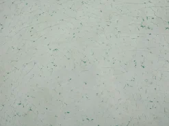 Pöydät<Beliani Puutarhapoyta Lasitasolla Kirkas 180 X 90 Cm Grosseto