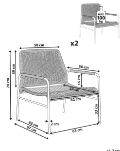 Hot Beliani Puutarhatuoli Rottinki Luonnonvari 2 Kpl Prasimo
