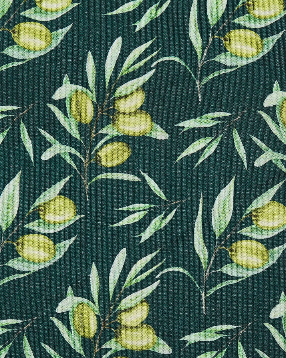 Hot Beliani Puutarhatuoli Vaalea Akasiapuu Vaihtokangas 2 Kpl Harmaa/Oliivikuvio 2 Kpl Cine