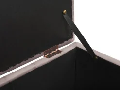 Sale Beliani Rahi Sametti Säilytystila Vaaleanpunainen 72 X 42 Cm Michigan