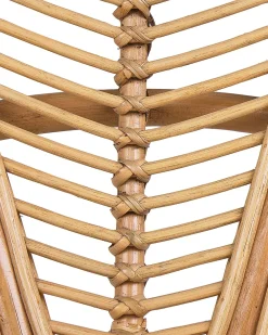 Tuolit<Beliani Riikinkukkotuoli Rottinki Luonnonvari 2 Kpl Florentine Ii