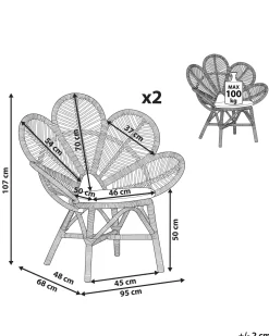 Cheap Beliani Riikinkukkotuoli Rottinki Luonnonvari 2 Kpl Florentine