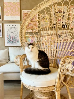 Tuolit<Beliani Riikinkukkotuoli Rottinki Luonnonvari Emmanuelle