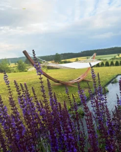 Ulkokalusteet<Beliani Riippukeinu Telineella Beige Treviso