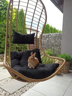 Nojatuolit<Beliani Riipputuoli Jalustalla Polyrottinki Luonnonvari Pineto