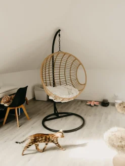 Nojatuolit<Beliani Riipputuoli Jalustalla Polyrottinki Luonnonvari Aspio