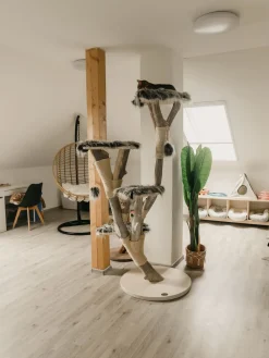 Nojatuolit<Beliani Riipputuoli Jalustalla Polyrottinki Luonnonvari Aspio