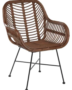 Flash Sale Beliani Rottinkituoli Ruskea Canora