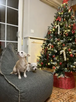 Fashion Beliani Sakkituoli Selkanojalla Kangas Vaaleanharmaa Drop