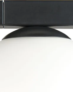 Valaisimet<Beliani Seinavalaisin 2 Polttimoa Rauta Kukkaruukku Musta Isabella