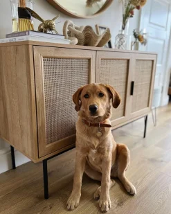 Säilytys<Beliani Senkki 3 Ovea 4 Hyllya Vaalea Puu Pasco