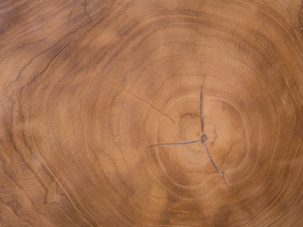 Pöydät<Beliani Sivupoyta Tiikki Vaalea Puu/Musta Elsa