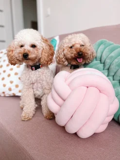 Shop Beliani Solmutyyny 45 X 25 Cm Vihrea Panara