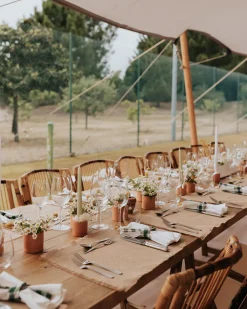 Tuolit<Beliani Tuoli Bambu Kokoontaitettava Ruskea 4 Kpl Trentor