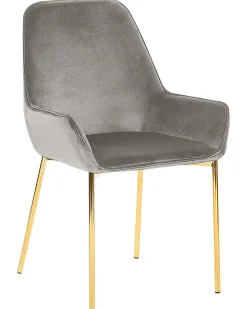 Tuolit<Beliani Tuoli Sametti Harmaa 2 Kpl Loverna