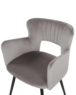 Discount Beliani Tuoli Sametti Harmaa 2 Kpl Sanilac