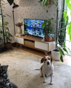 Säilytys<Beliani Tv-Taso 2 Kaappia Laatikko Vaalea Puu/Valkoinen Eerie