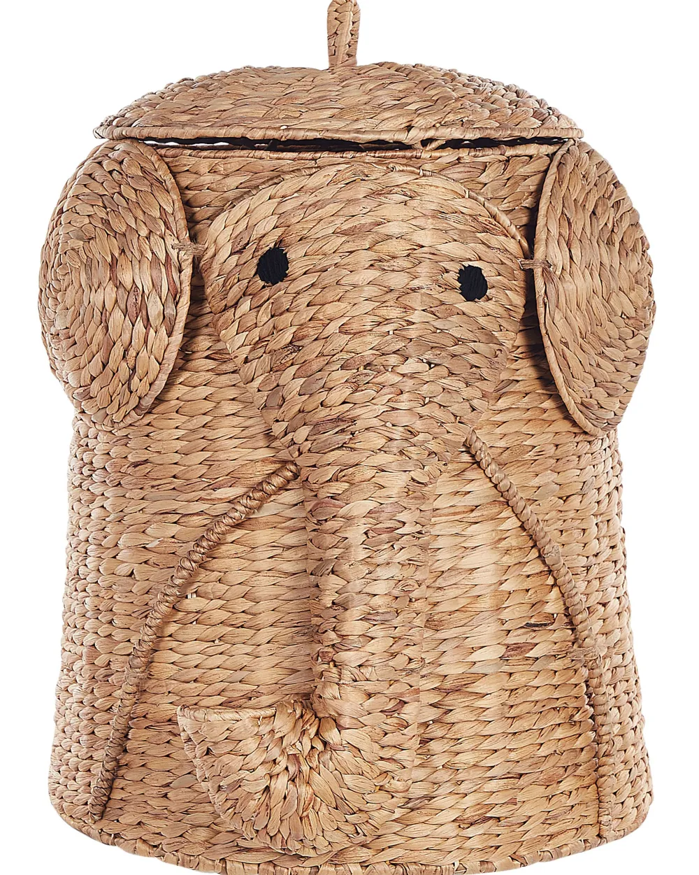 Clearance Beliani Vesihyasinttikori Luonnonvari 50 Cm Dogon