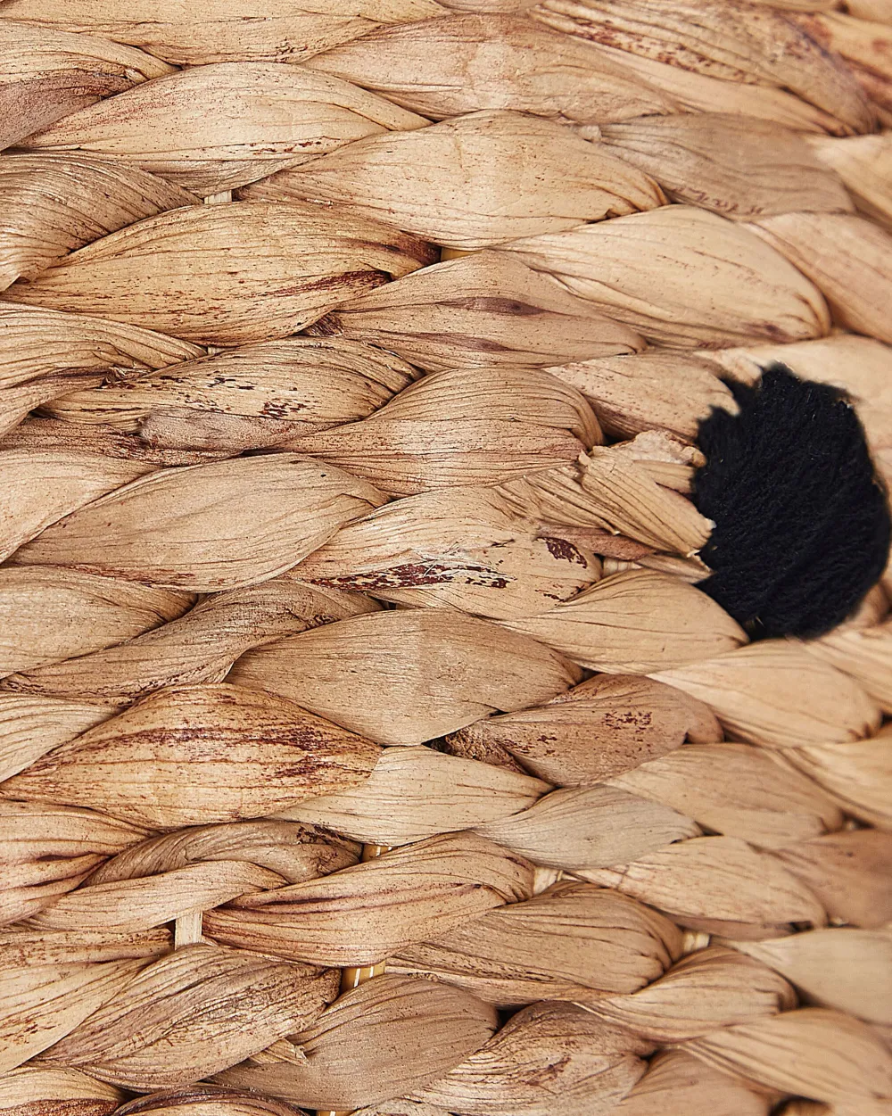 Clearance Beliani Vesihyasinttikori Luonnonvari 50 Cm Dogon